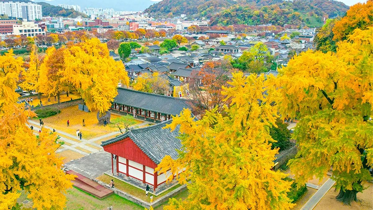jeonju-hyanggyo-autumn-leaves5.webp