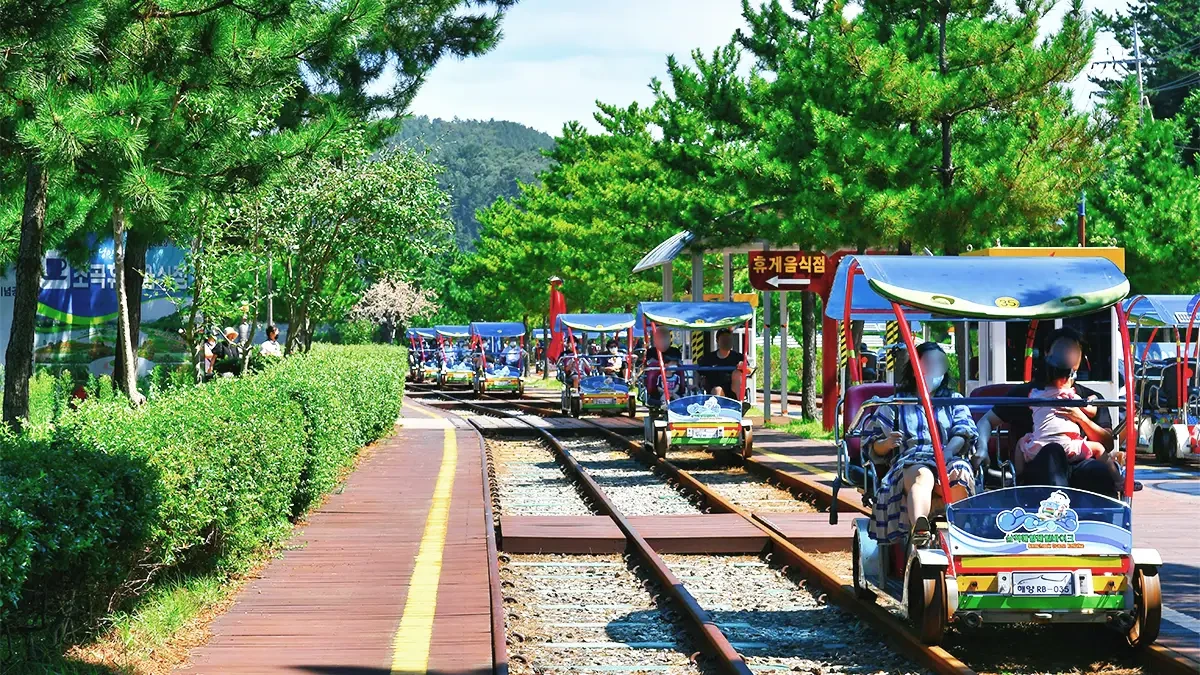 samcheok-ocean-railbike-guide2.webp