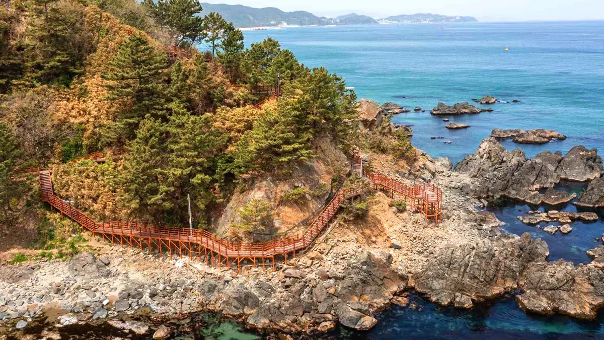 samcheok-deokbongsan-coastal-trail-guide3.webp