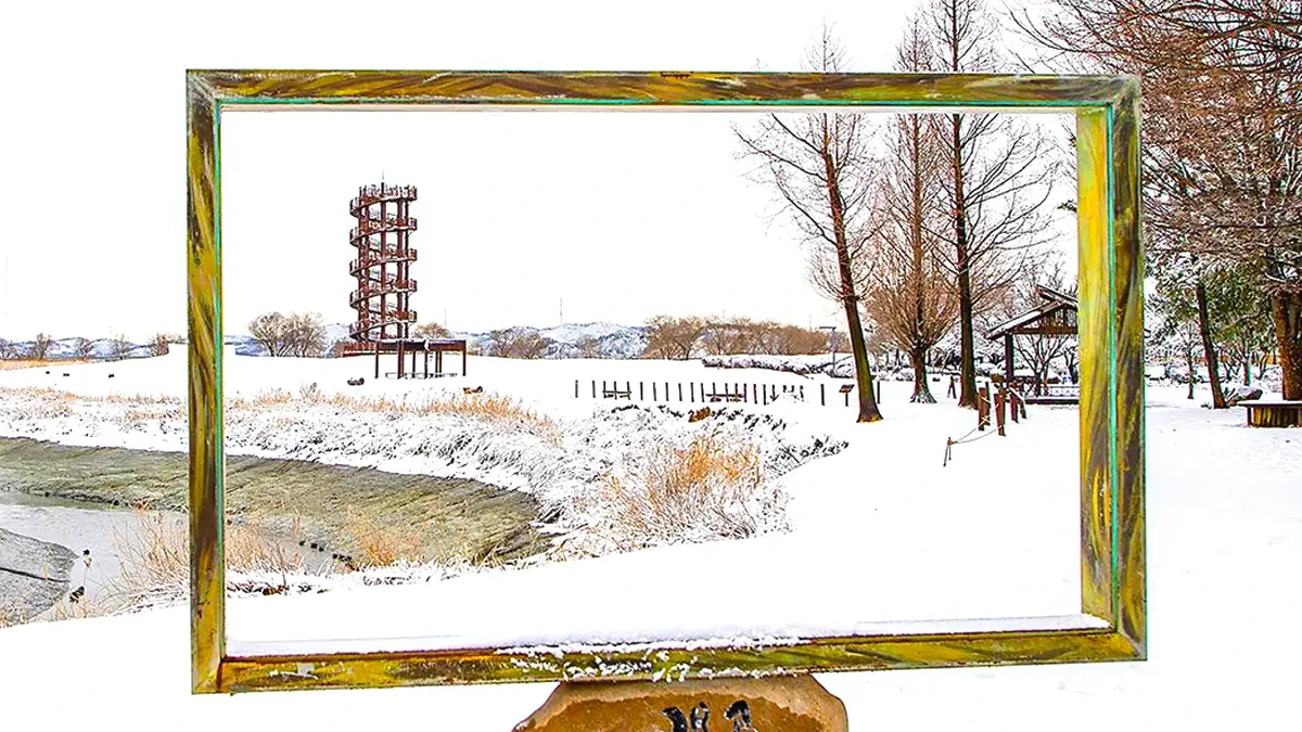 siheung-gaetgol-ecopark-winter-snowfield2.webp