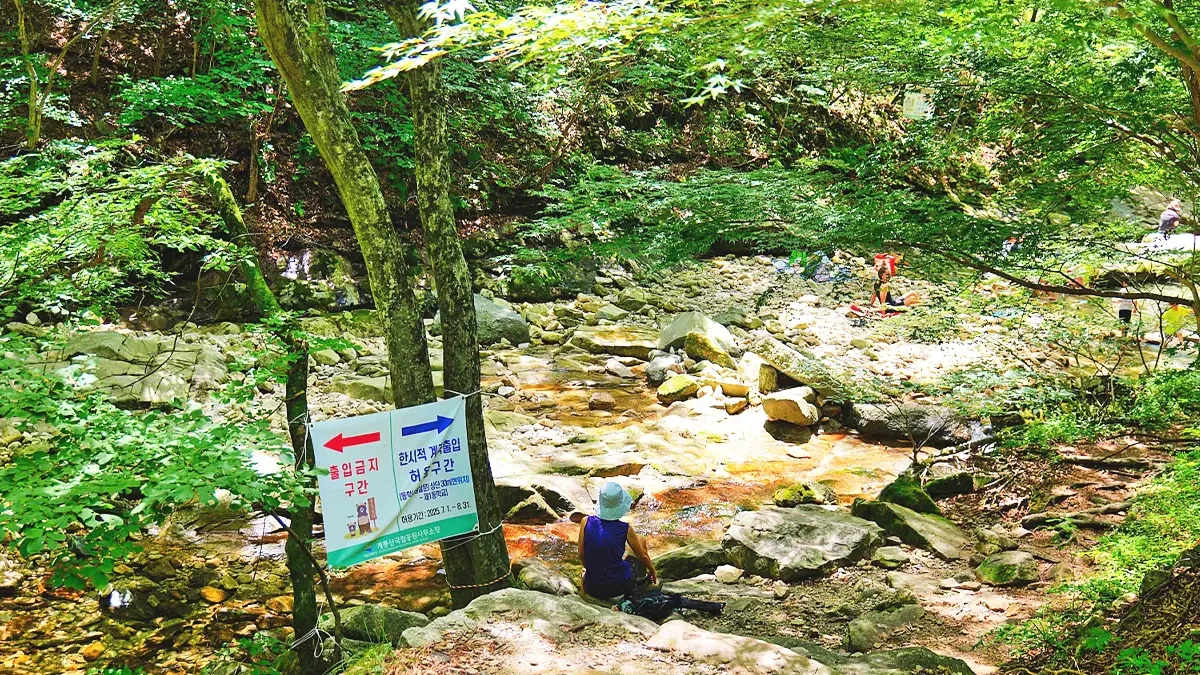 gyeryongsan-donghaksa-valley-summer5.webp