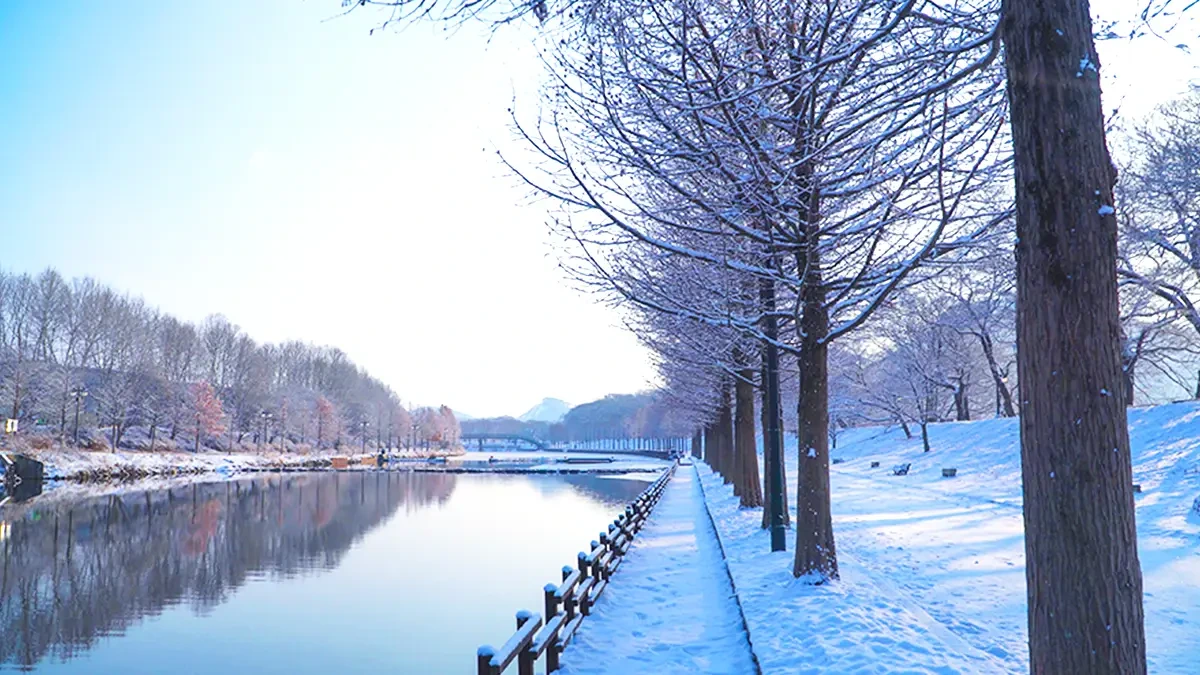 damyang-gwanbangjerim-winter-snow3.webp