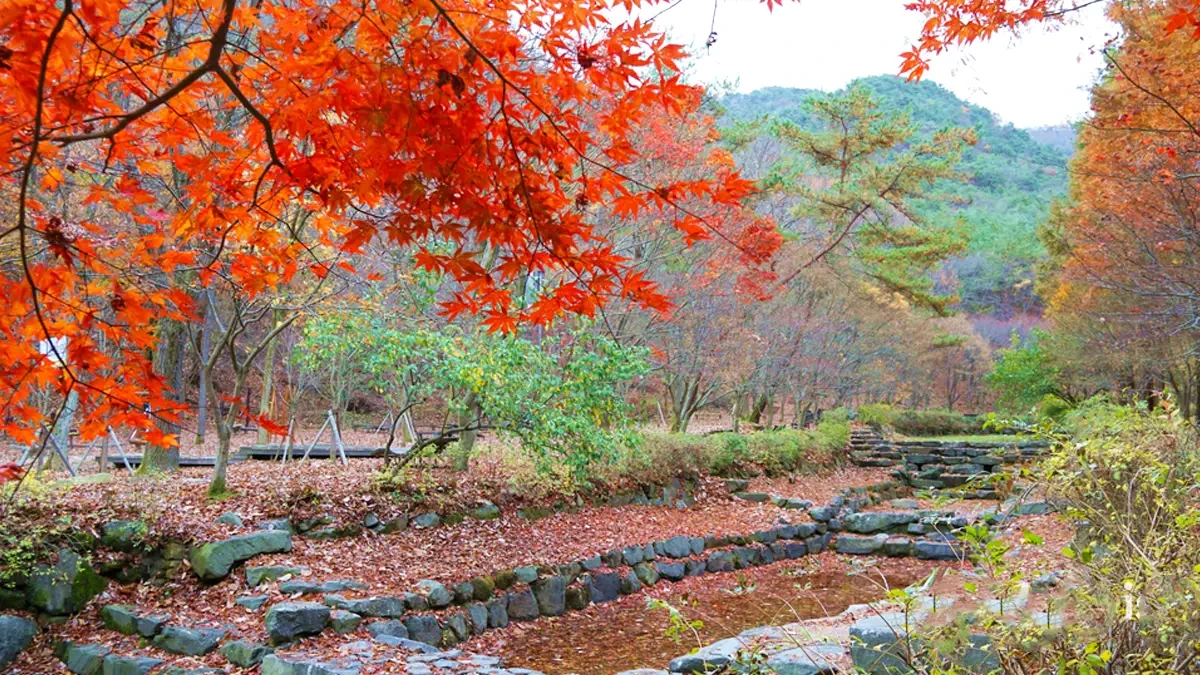 daejeon-sangso-dong-forest-park6.webp