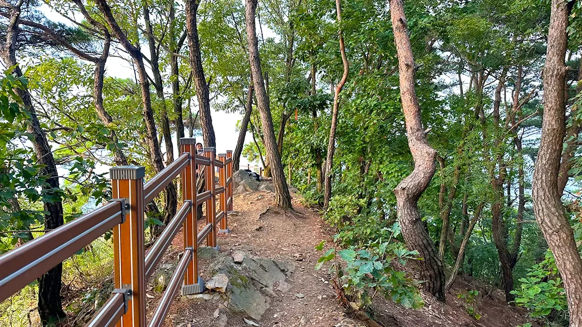 woraksan-ageobong-trail-reopening-chungju-lake-view-3.webp