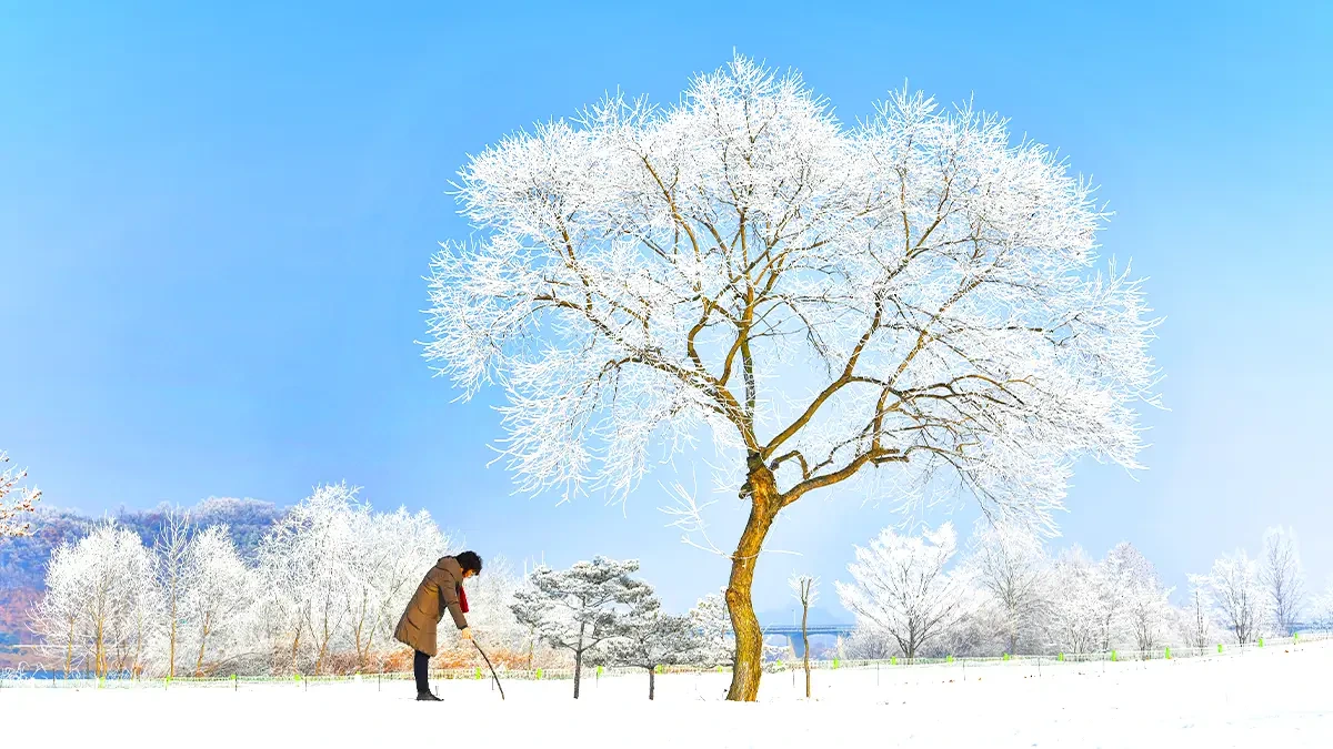 chungju-namhangang-winter-snowy-landscape2.webp