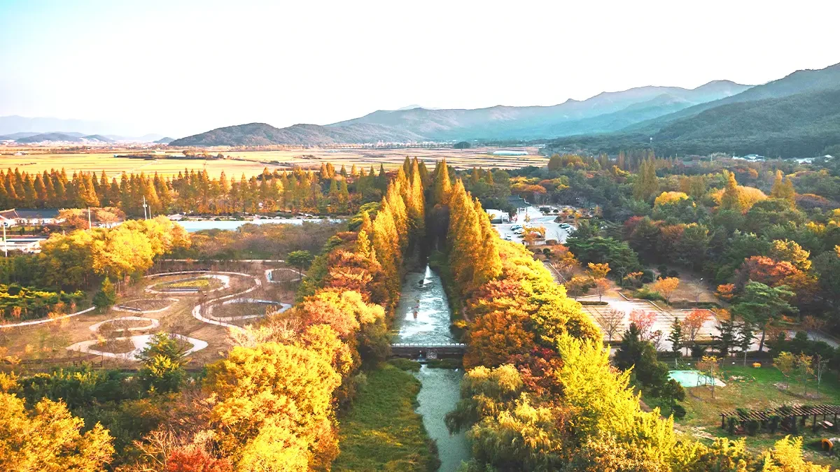 gyeongbuk-millennium-forest-garden-autumn-foliage5.webp
