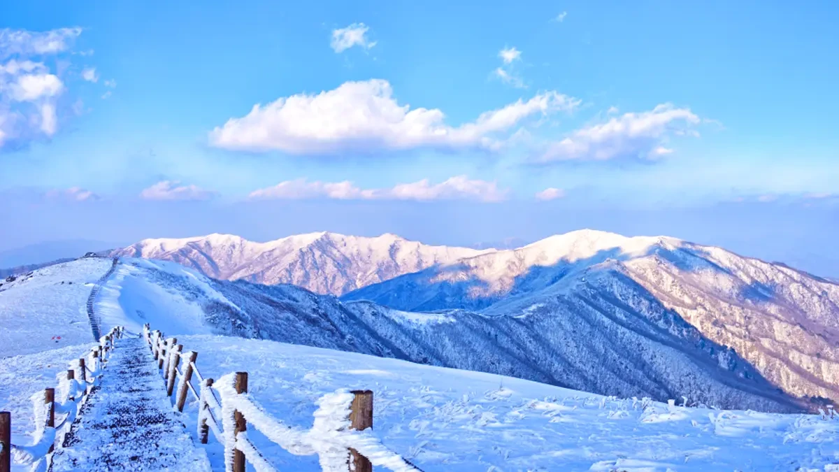 beobaljae-winter-scenery-drive5.webp