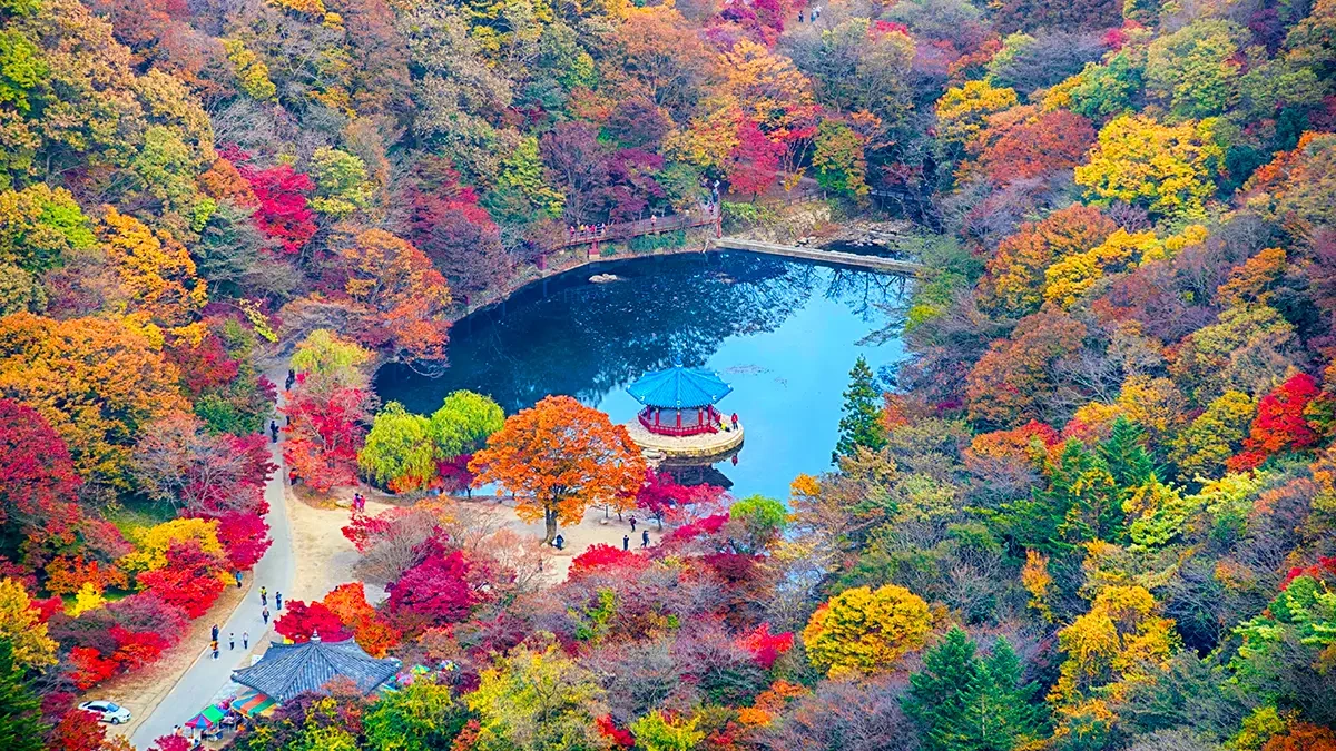 naejangsan-national-park-autumn-foliage-1.webp