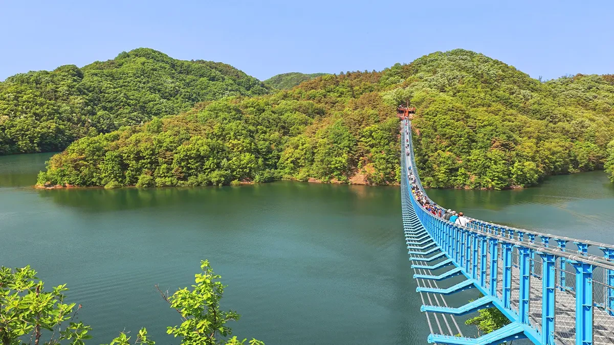 jincheon-chopyeongho-mir309-longest-pylon-free-bridge4.webp