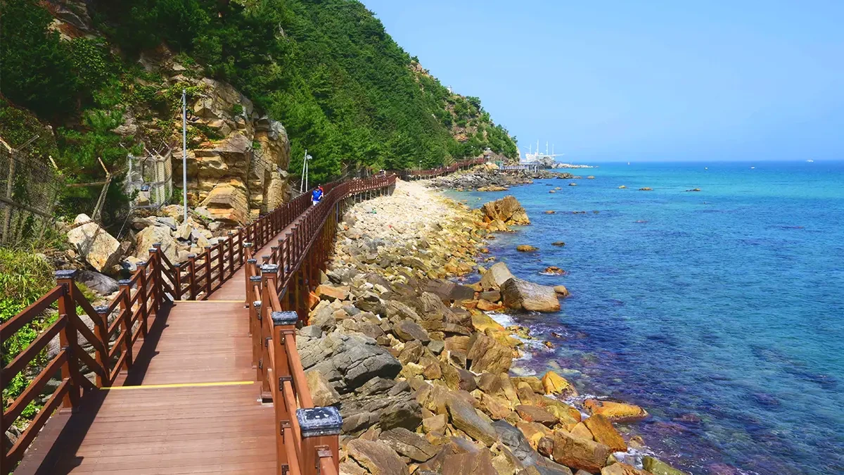 gangneung-jeongdong-simgok-badabuchaegil-coastal-trail2.webp
