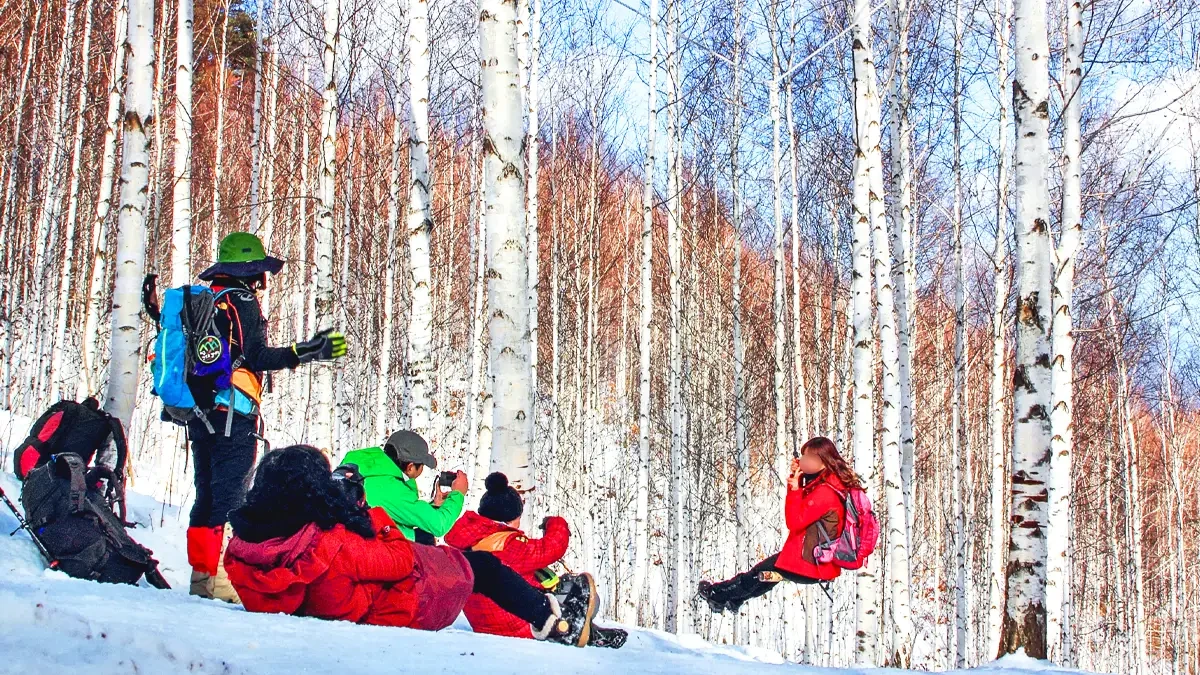 inje-wondae-birch-forest-winter-hike4.webp
