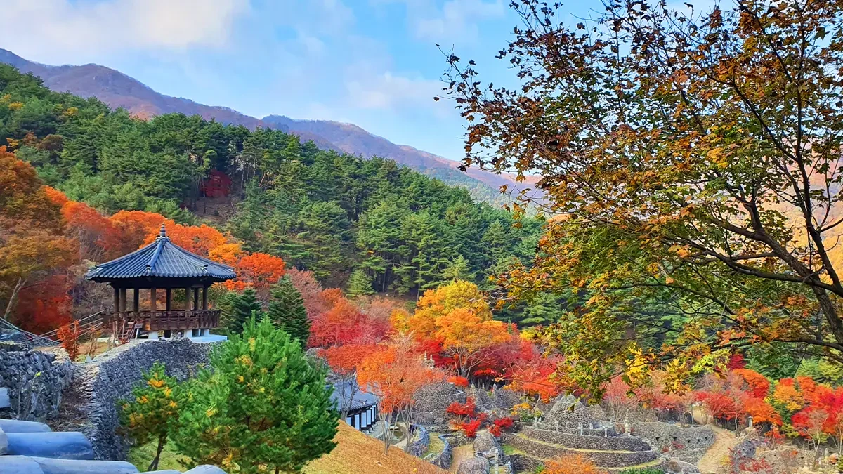 jirisan-samseonggung-autumn6.webp