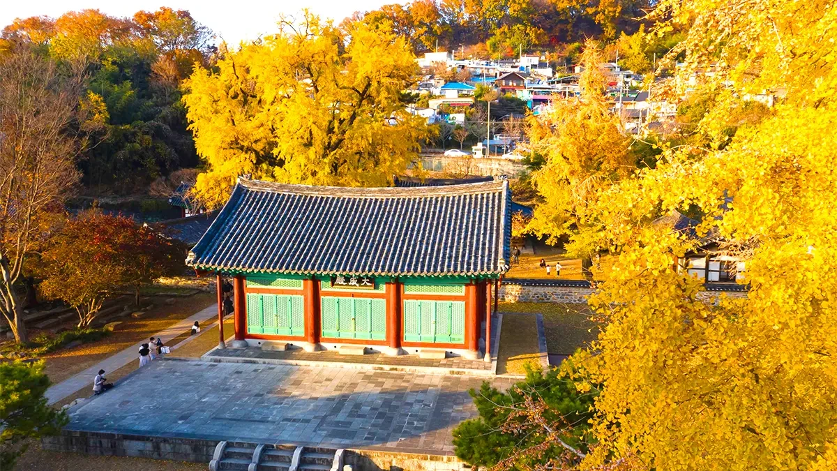 jeonju-hyanggyo-autumn-leaves2.webp