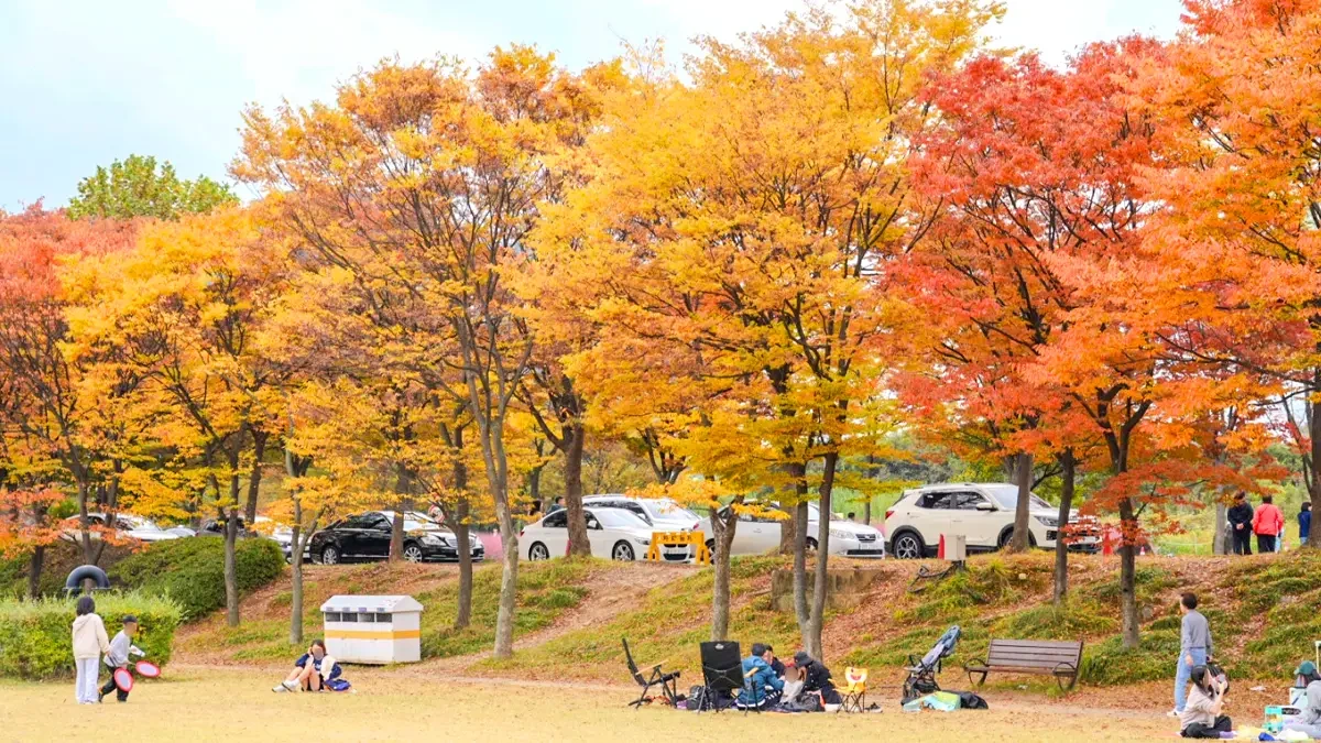 misa-gyeongjeong-park-autumn1.webp