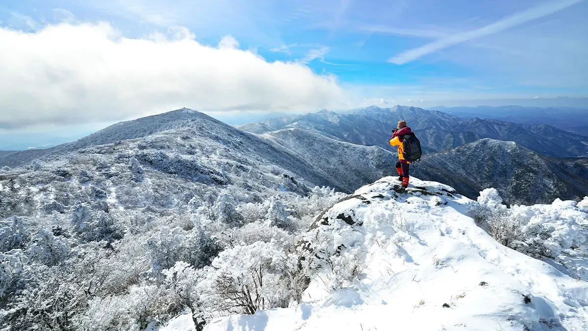deogyusan-sangjeru-winter-snow-restoration4.webp