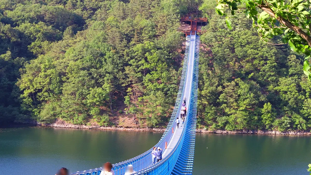jincheon-chopyeongho-mir309-longest-pylon-free-bridge5.webp