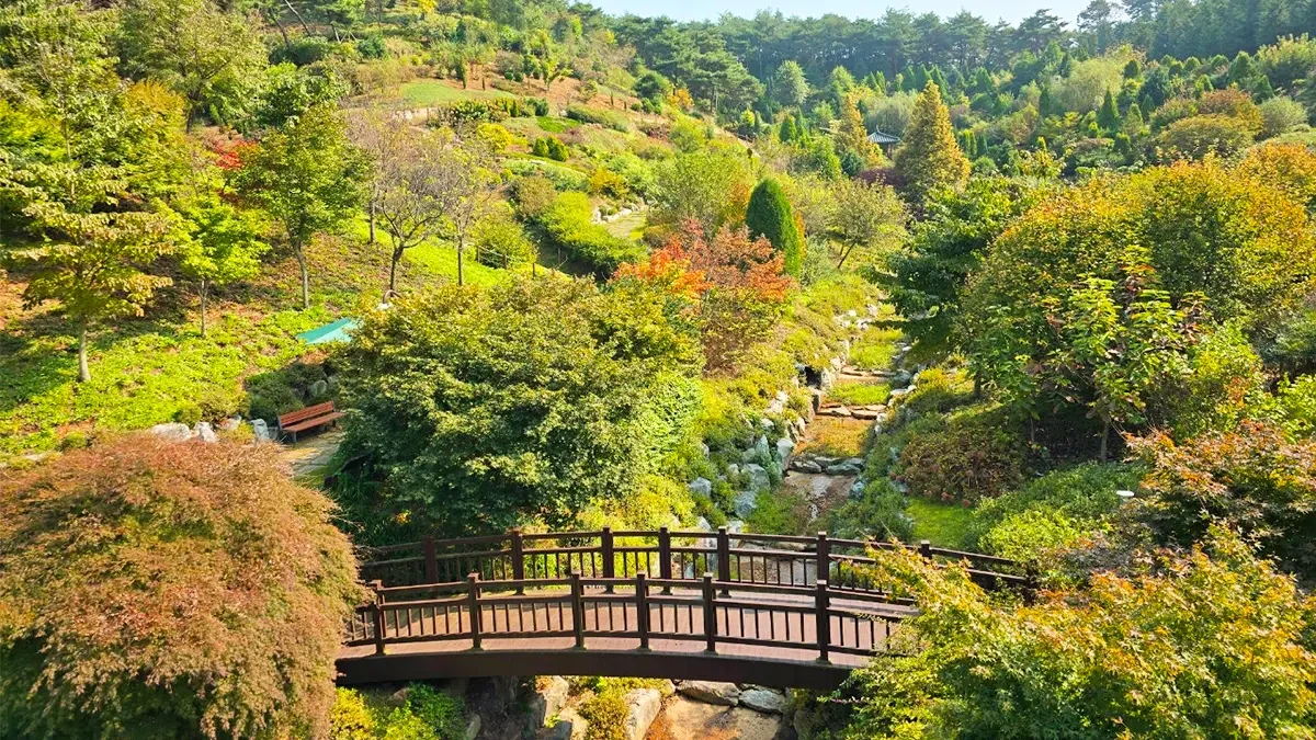 dangjin-samseonsan-arboretum-autumn4.webp