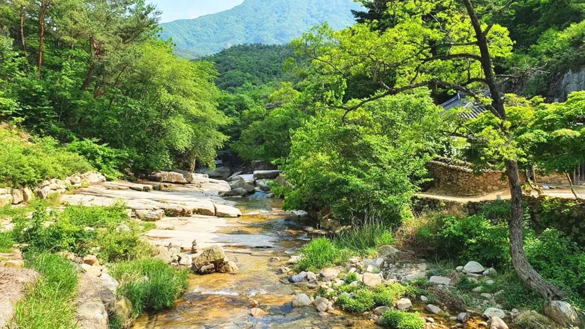 mungyeong-seonyudong-valley5.webp