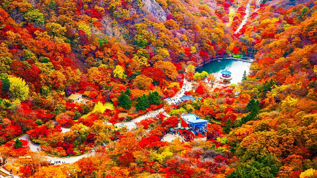 naejangsan-national-park-autumn-foliage-2.webp
