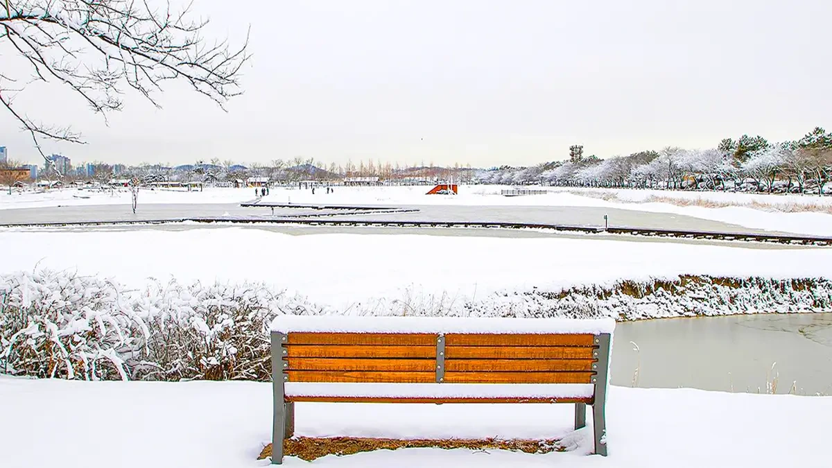 siheung-gaetgol-ecopark-winter-snowfield3.webp