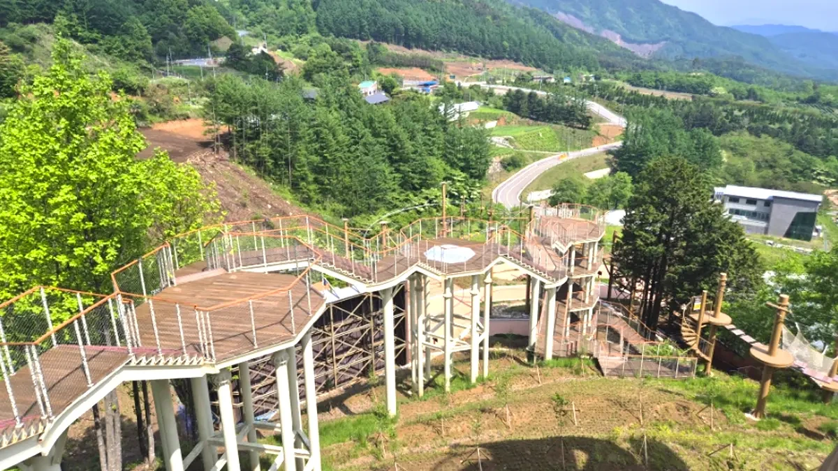 geochang-baekdudaegan-treetop-walk5.webp