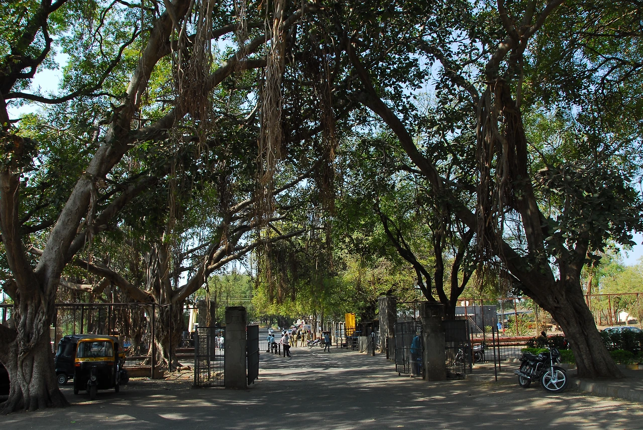 27-1 DSC_0412 반얀나무 엘로라 입구(병석) ㅈ ㅉㅉ.JPG