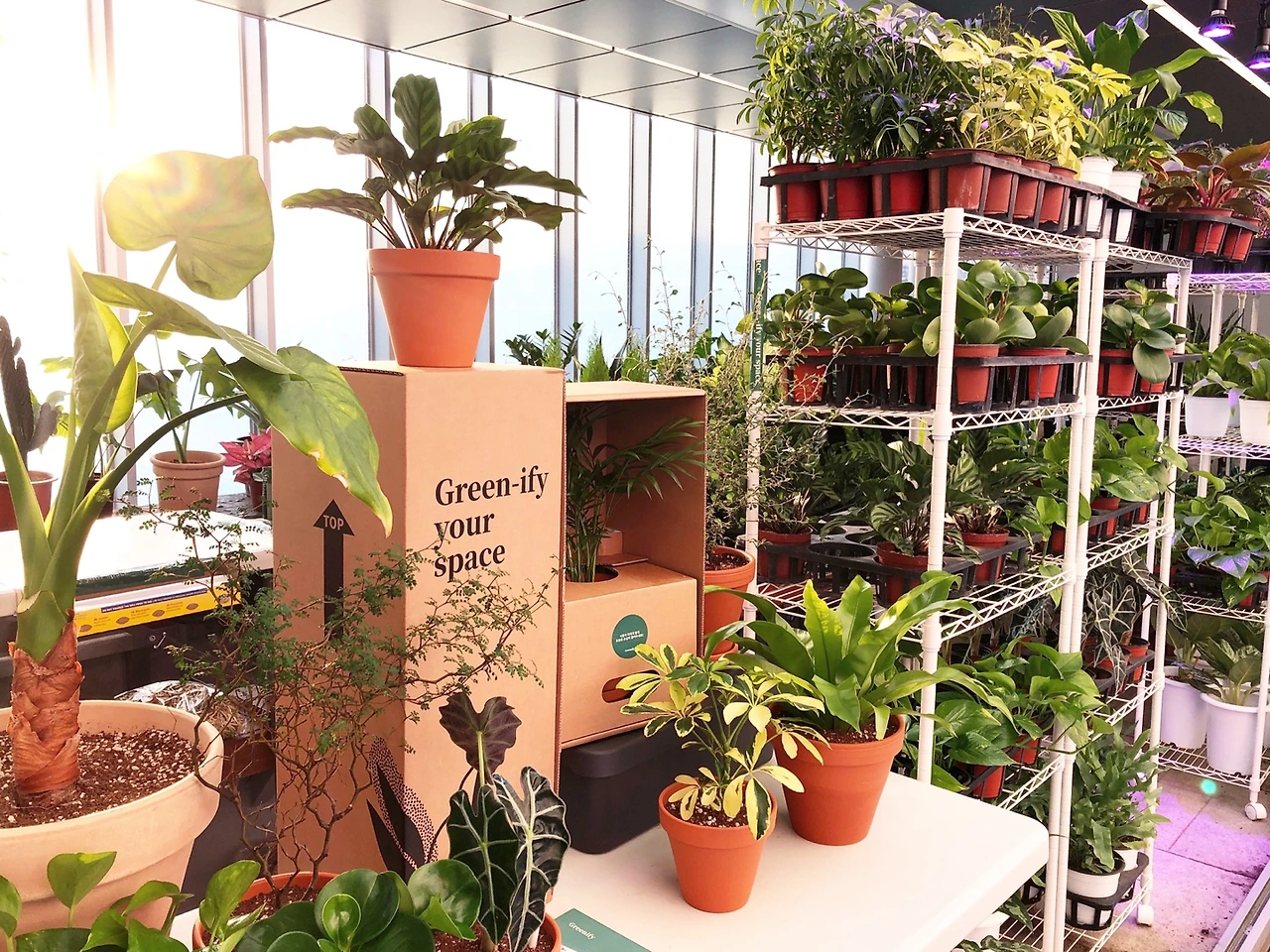 EBhwWTSAoJFTXmQmlZI3RGxsmqgQ_mWFGH8vw6IZ6XANX4mJCXdrirzlgGdcfyGy9f1ZfY5vnKA4noYShlqFgfkjsZoZbof2mGjj99qRfYfZkV28H0htYVIcdVzpRkCKNg