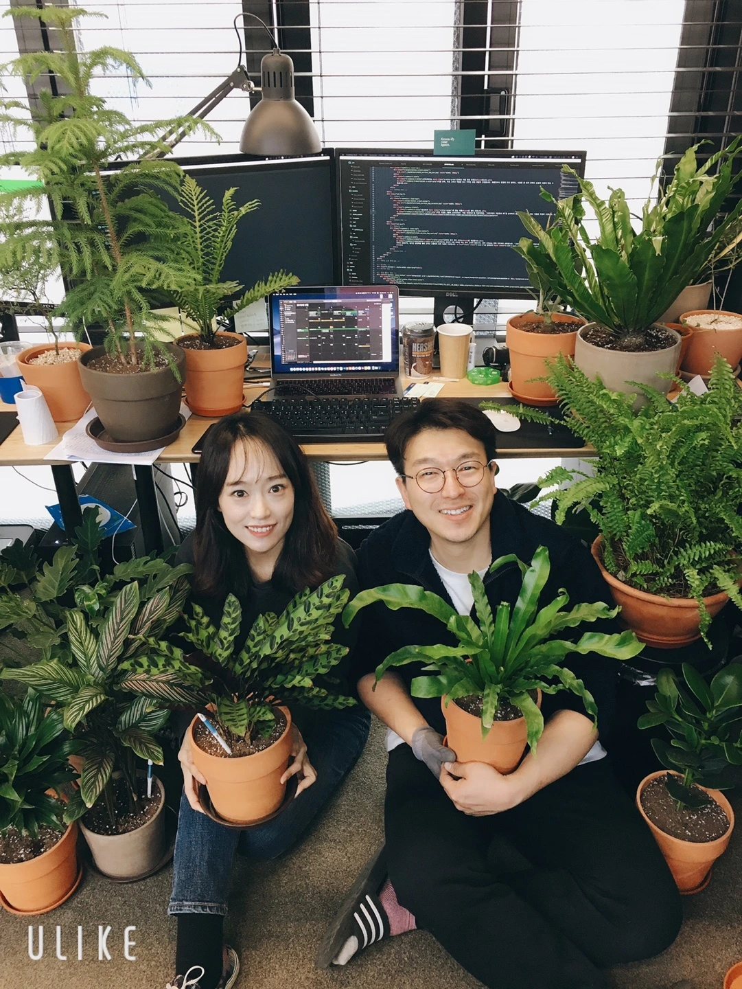 glFNteV9QHWM_If57tso3SAAkZOzCSCld1T7QfLbF6fmvf6qsGh_-hb_k_oKuBJxecIvafXqZRzgxlMO0ezgt38-DjroA4T6zdP9DUtN34rlOHgEeCMhwvomjA9s2UZBDw