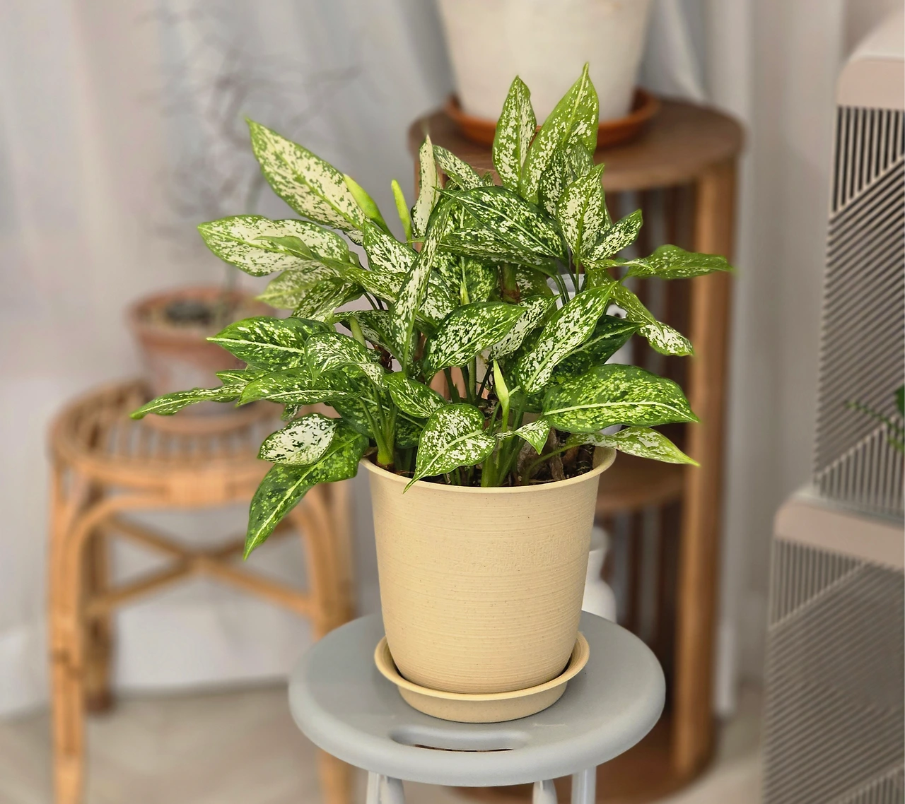 KakaoTalk_Photo_2024-05-04-21-44-00 001.jpeg