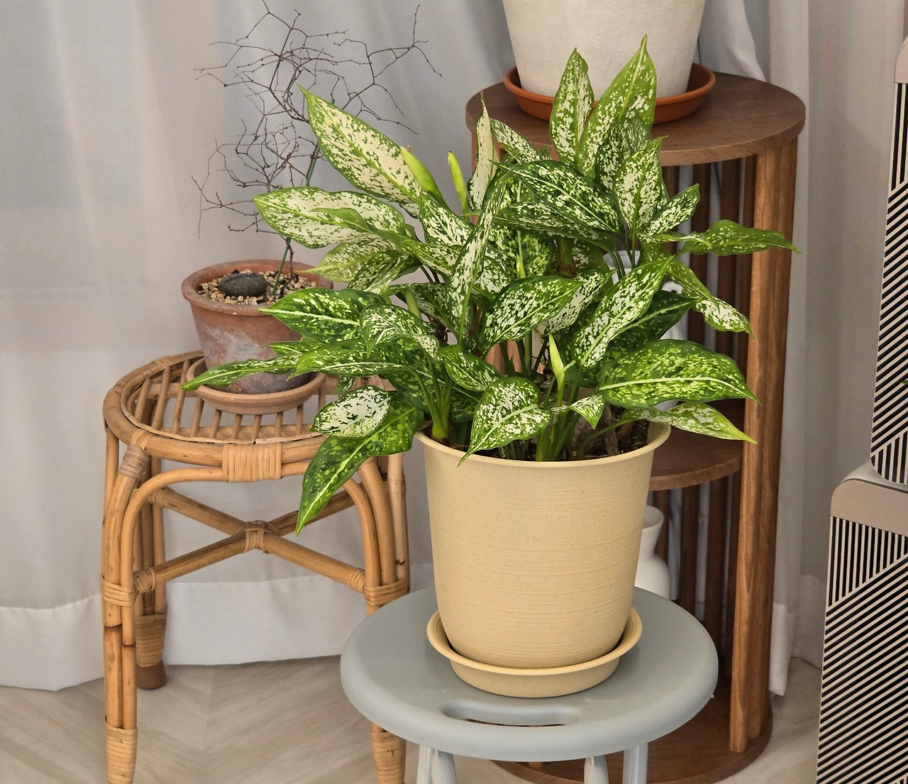 KakaoTalk_Photo_2024-05-04-21-44-01 002.jpeg