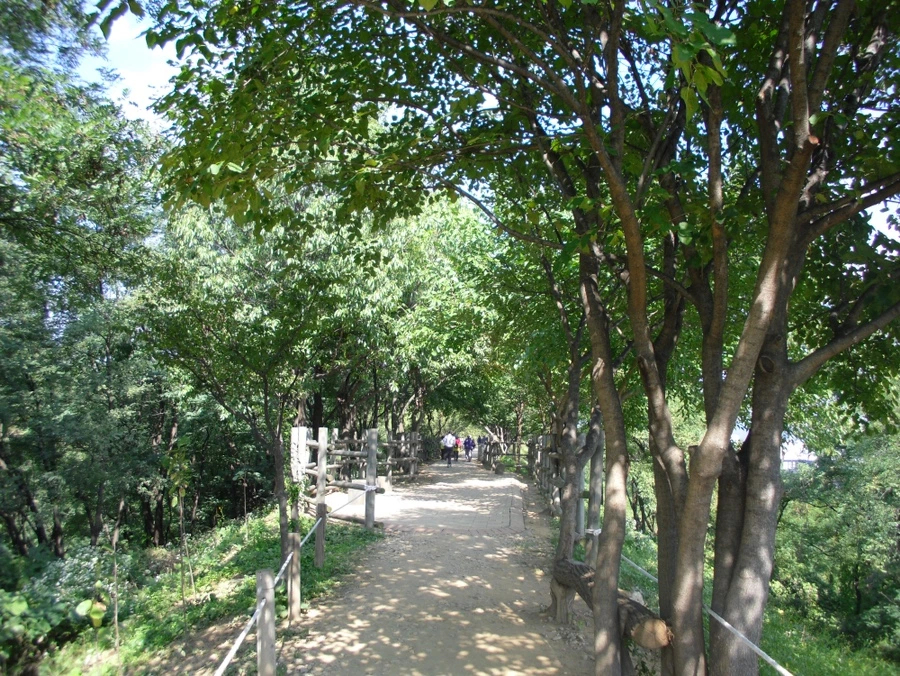 12787185402_20231022230806985.JPG?type=w966