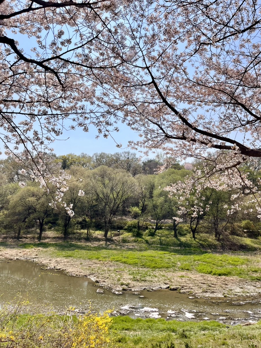 FullSizeRender.jpg?type=w966