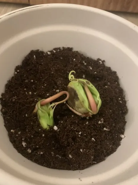 IMG_2214.jpg?type=w466