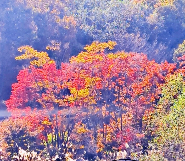 1698783062610.jpg?type=w773