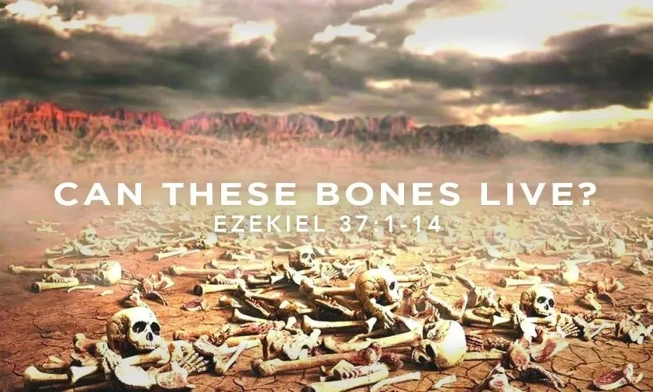 rs=w_1280.jpg?type=w1