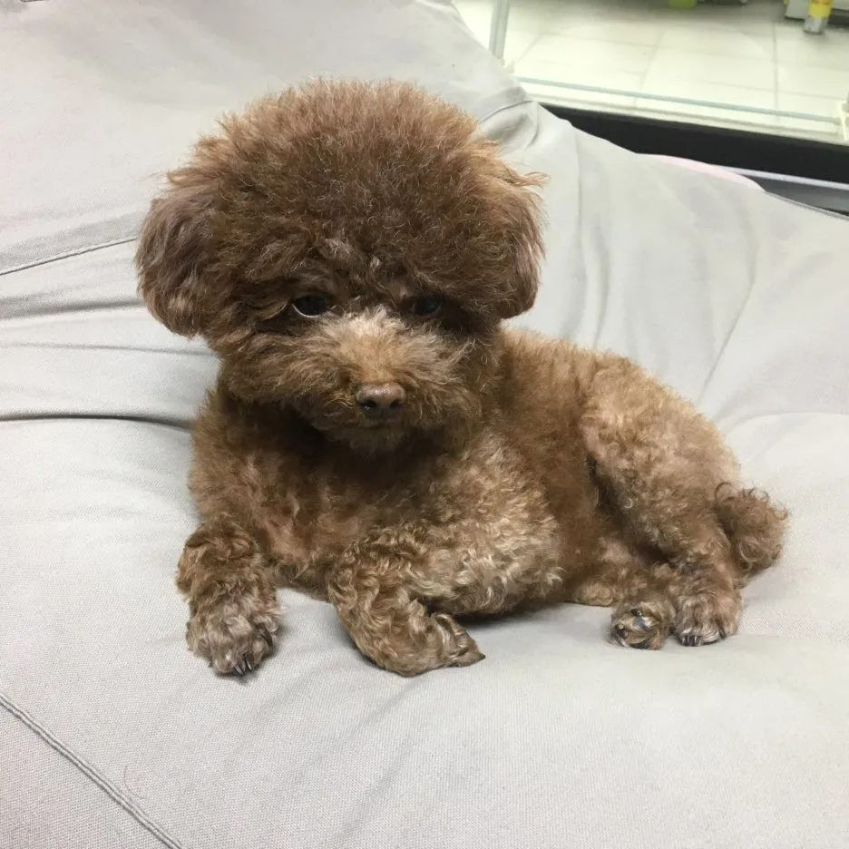 40B4D61E-9370-4ACD-930D-554C3B29F005.JPG?type=w1