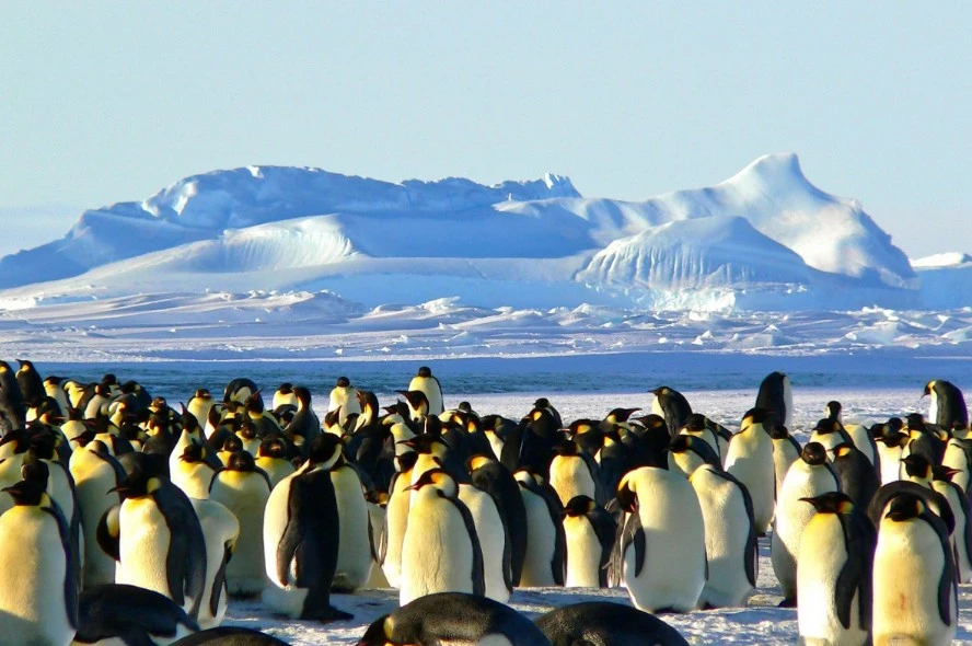 Screenshot 2024-01-12 at 14.50.27.JPG