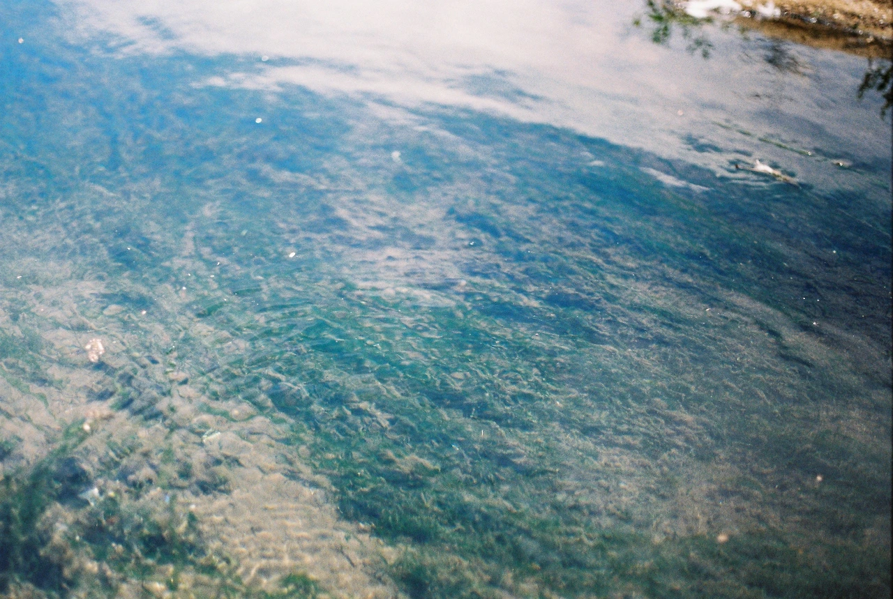 잔잔한 물결.JPG