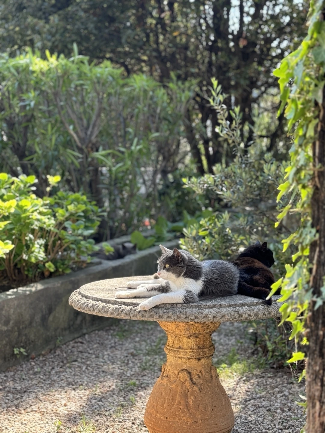 KakaoTalk_Photo_2024-12-04-22-52-49 002.jpeg