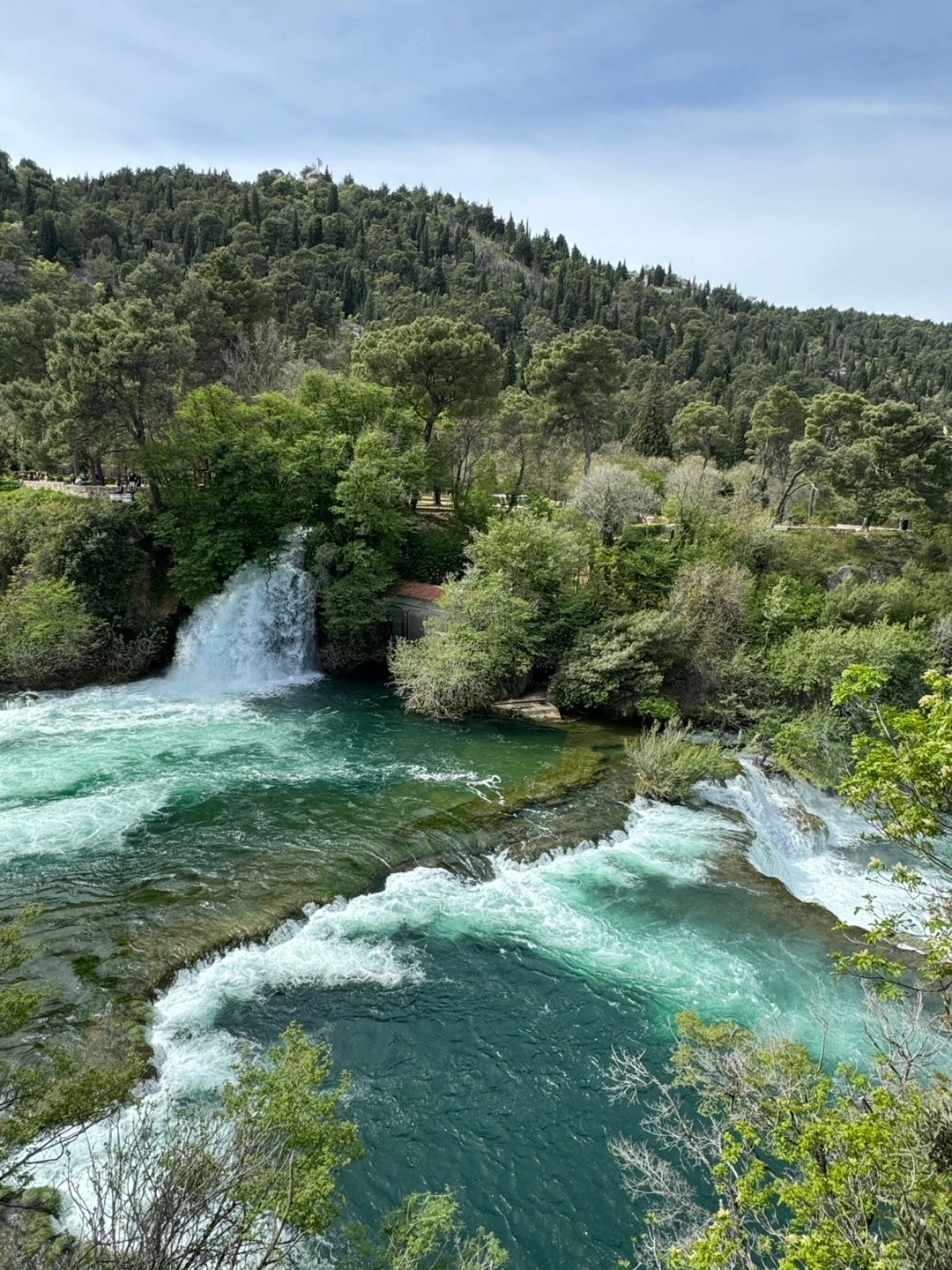 KakaoTalk_Photo_2024-11-27-19-19-56 006.jpeg