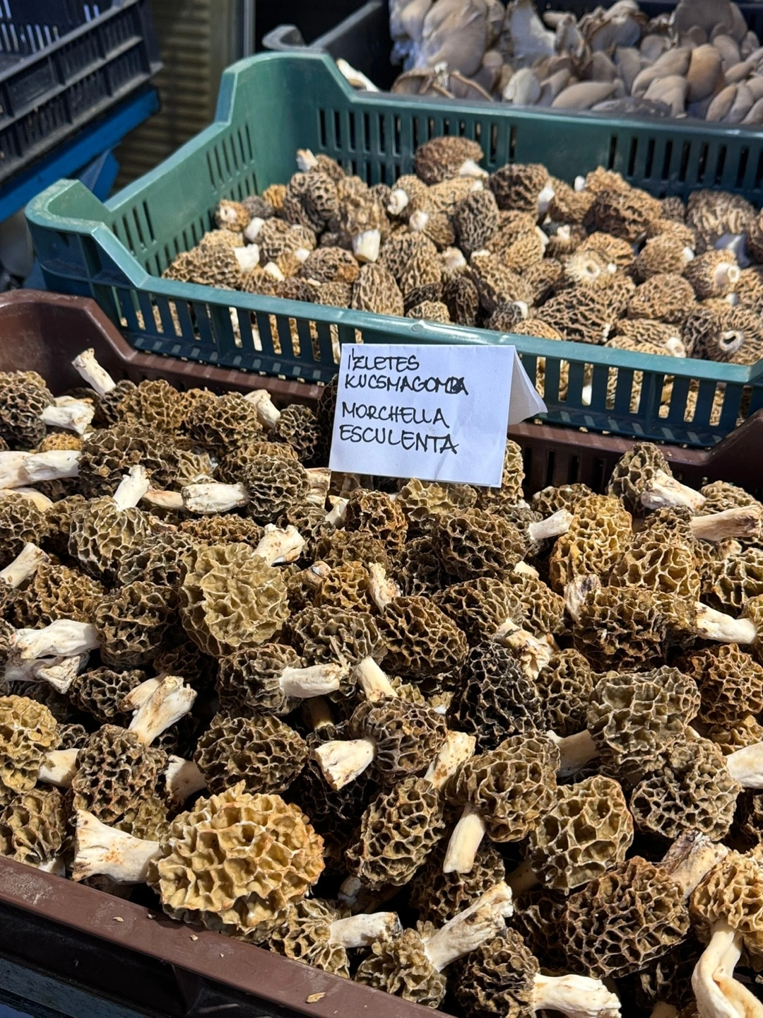 KakaoTalk_Photo_2024-10-16-19-03-39 001.jpeg