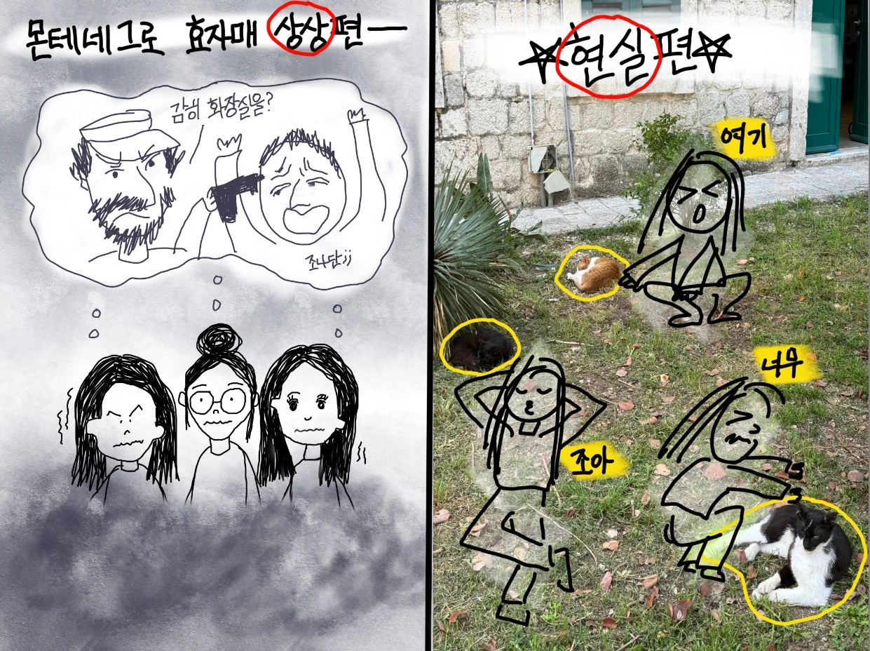 스크린샷, 2024-12-18 오후 4.42.09.jpeg