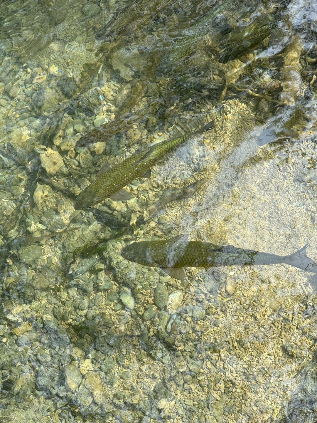 KakaoTalk_Photo_2024-11-27-19-19-57 007.jpeg