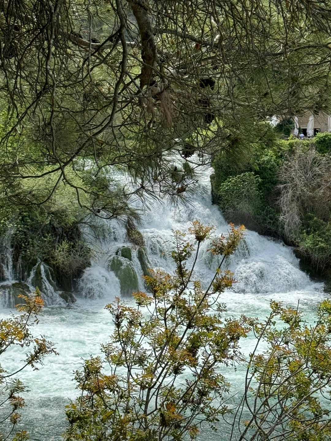 KakaoTalk_Photo_2024-11-27-19-19-56 005.jpeg