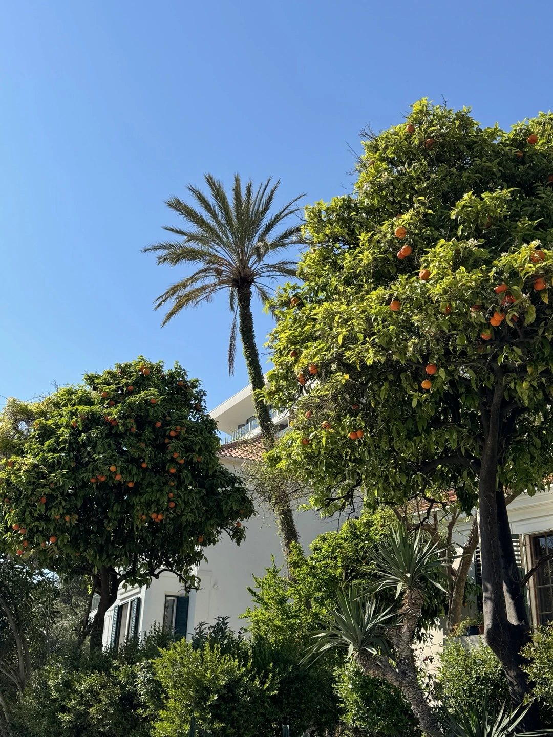 KakaoTalk_Photo_2024-12-04-22-52-49 003.jpeg