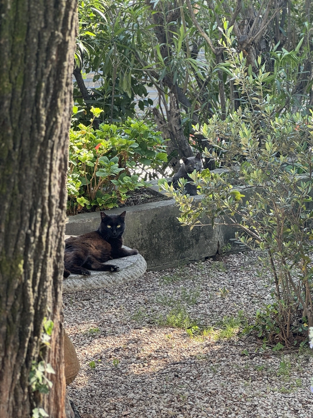 KakaoTalk_Photo_2024-12-04-22-52-49 001.jpeg