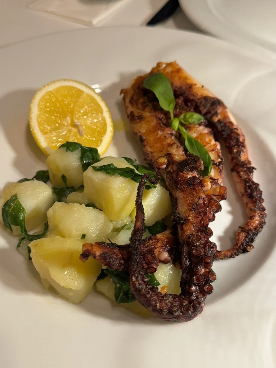 KakaoTalk_Photo_2024-12-18-15-55-19 011.jpeg