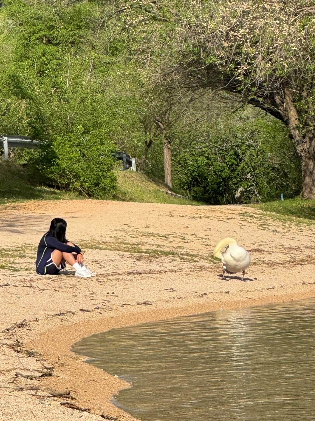 KakaoTalk_Photo_2024-11-27-19-19-57 011.jpeg