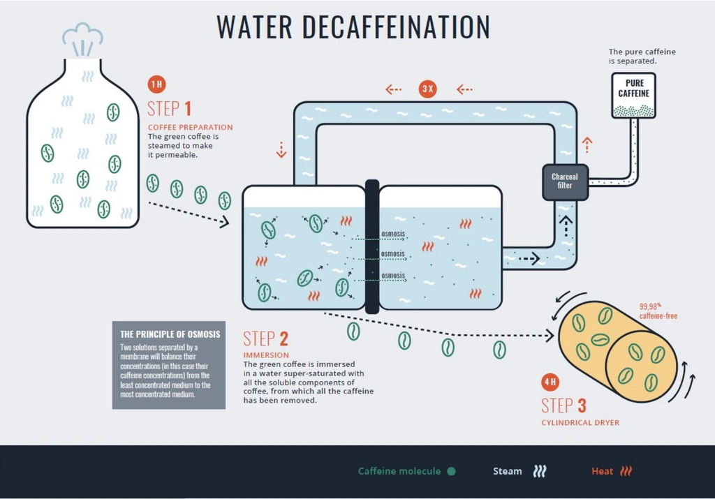 Water_decaffeination_explained_1024x1024.png?v=1661163550