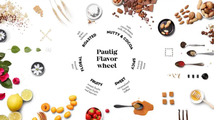 medium_Paulig_Flavour_Wheel_Eng.jpg?itok=RItPgfCt